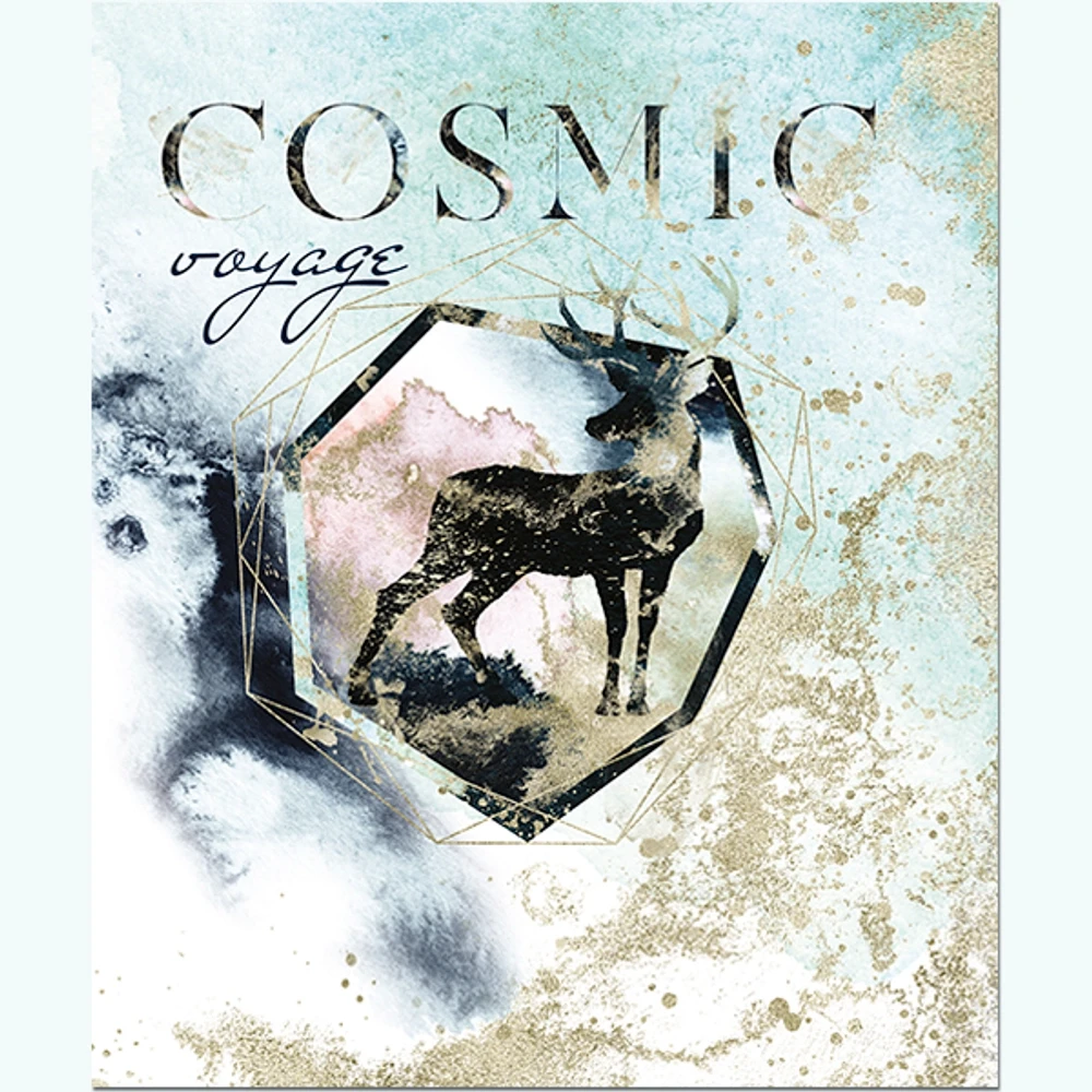 Тетрадь общая 48 листов, "Cosmic voyage"