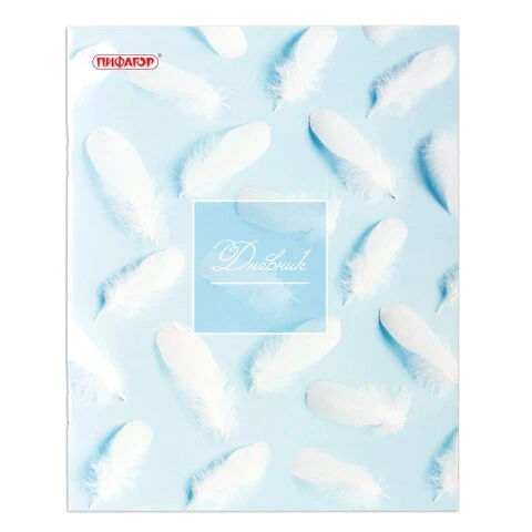 Дневник 1-11 класс 40 л., на скобе, ПИФАГОР, обложка картон, с подсказом,