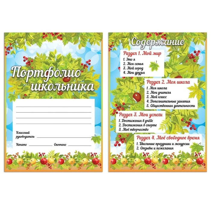 Портфолио школьника BRAUBERG, 16 листов: титульный лист, содержание, 14 разделов