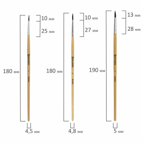 Кисти BRAUBERG, набор 5 шт. (беличья круглая № 1, 2, 3, 4, 5), блистер, 200217