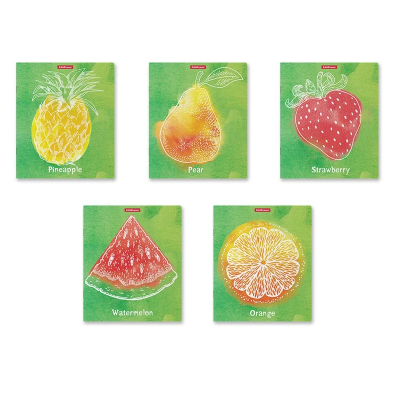 Тетрадь общая с пласт обложке 48л А5+ ErichKrause Fresh, клетка, 51462 Тетрадь общая с пласт обложке 48л А5+ ErichKrause Fresh, клетка, 51462