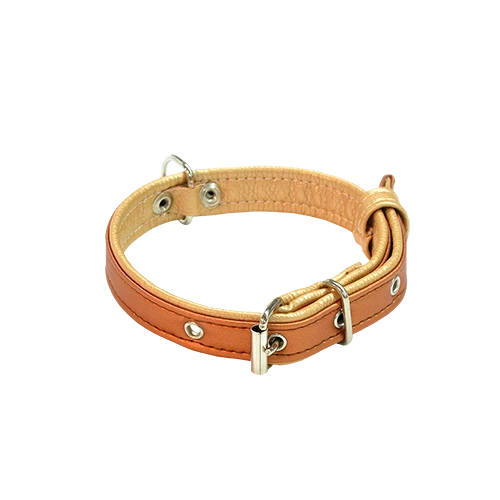 Ошейник кожзам 20мм двойной, полукольцо Ошейник кожзам 20мм двойной, полукольцо