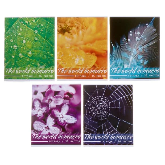 Тетрадь 36 листов в клетку Calligrata "Микромир", обложка мелованный