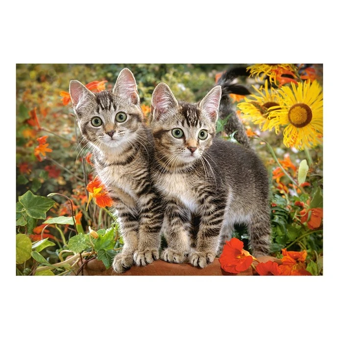 Пазл «Усатые приятели», 1500 элементов