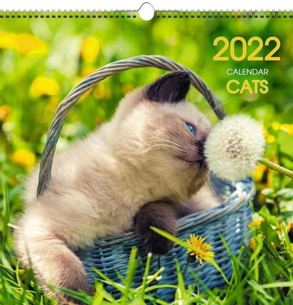 Календарь настенный перекидной 2022г. ДОМАШНИЕ ЛЮБИМЦЫ 320 х320 мм 6 л. 1 бл.