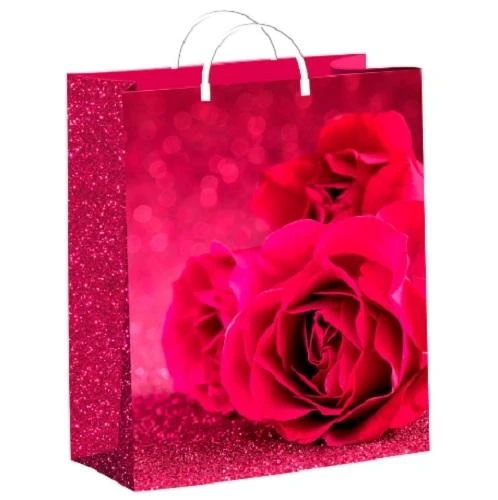 Пакет пластиковый Малиновые розы (26*24 см.) н00152562 Пакет пластиковый Малиновые розы (26*24 см.) н00152562