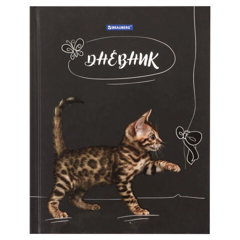 Дневник 5-11 класс 48 л., твердый, BRAUBERG, выборочный лак, с подсказом,