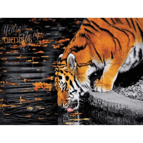 Календарь квартальный с бегунком, 2022 год, 3-х блочный, 4 гребня, СуперЛюкс,