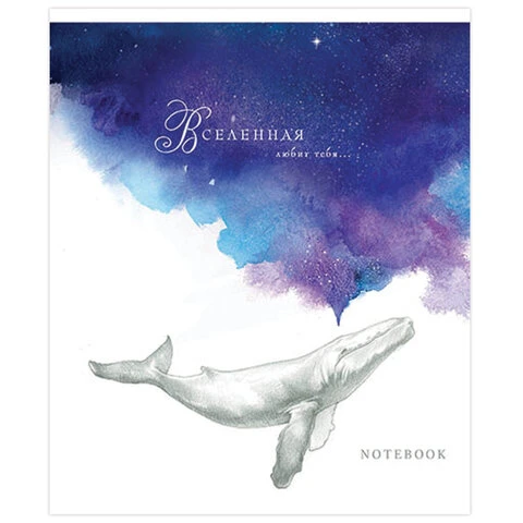 Тетрадь А5, 48 л., ПЗБМ, скоба, клетка, Soft Touch, фольга, лак, "Сон о