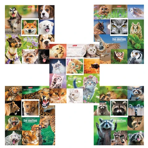 Тетрадь 48 л., HATBER, клетка, обложка мелованный картон, "Живые Тетрадь 48 л., HATBER, клетка, обложка мелованный картон, "Живые