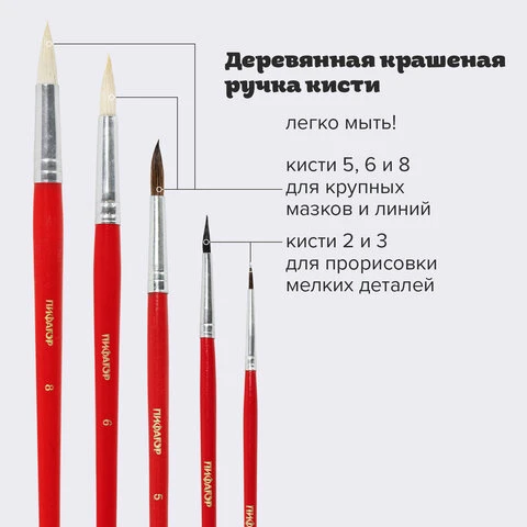 Кисти ПИФАГОР, набор 5 шт. (беличья круглая № 3, из ворса козы круглая № 6, 8,