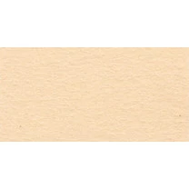 "VISTA-ARTISTA" Бумага цветная TPO-A4, 120 г/м2, А4, 21 х 29.7 см. 10
