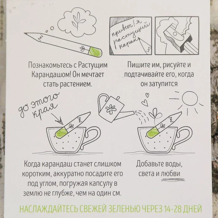 Растущие карандаши "Итальянские травы" набор 3 шт. черные