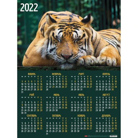Календарь настенный листовой, 2022 год, формат А2 45х60 см, "Год