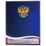 Дневник 5-11 класс, твердый, BRAUBERG, глянцевая ламинация, с подсказом,