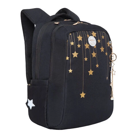 Рюкзак GRIZZLY школьный, анатомическая спинка, 2 отделения, для девочек,