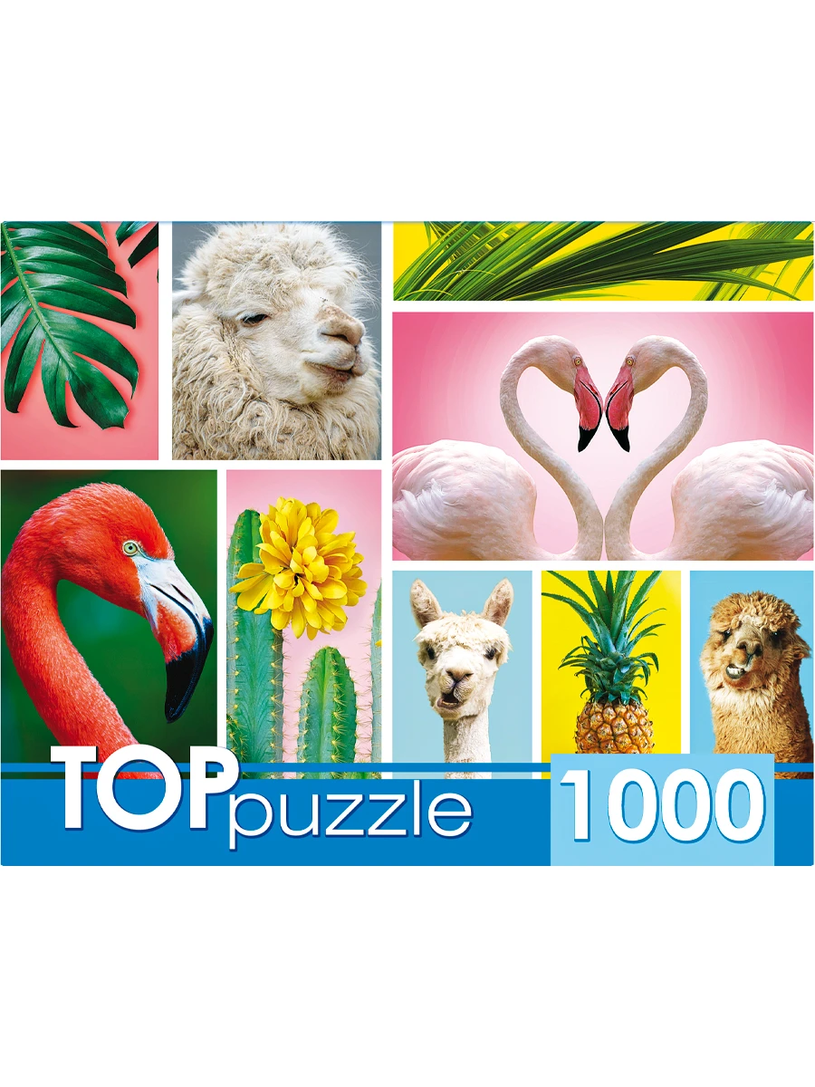 TOPpuzzle. ПАЗЛЫ 1000 элементов. ГИТП1000-4137 Модный коллаж