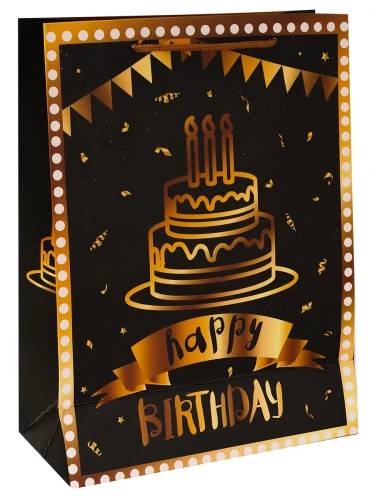 Dream cards Пакет подарочный с мат.лам. и тиснен. фольгой 18х24х8,5см (M) Dream cards Пакет подарочный с мат.лам. и тиснен. фольгой 18х24х8,5см (M)