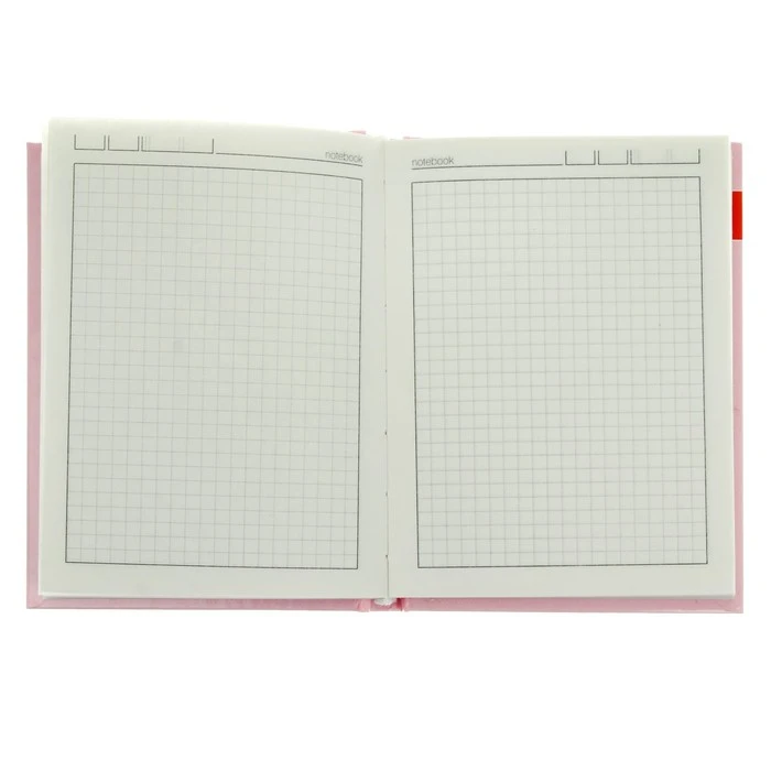 Блокнот-престиж А6, 160 листов, твёрдая обложка "Давай, лама, давай!",