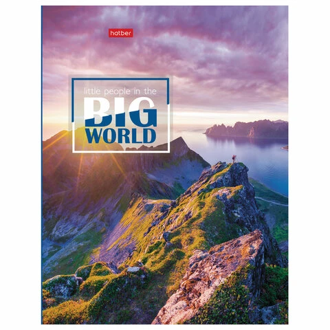 Тетрадь на кольцах А5 (170х220 мм), 120 л., картонная обложка, клетка, HATBER,