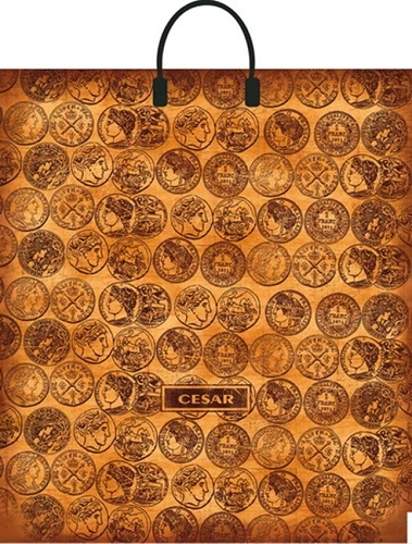 Пакет полиэтиленовый с пластиковой ручкой "Цезарь" (40*44 см) СП-7233