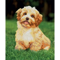 Кристальная (алмазная) мозаика "ФРЕЯ" ALVR-114 "На прогулке"