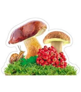 Элемент Грибы и рябина (10 эл.) 10-10.02-0020