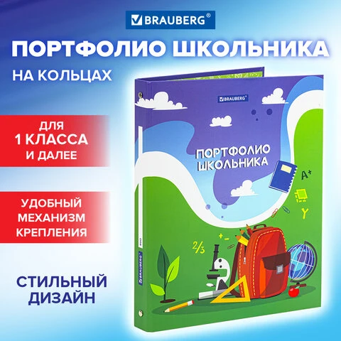 Папка-портфолио школьника/дошкольника "ШКОЛЬНАЯ ИСТОРИЯ", 4 кольца,