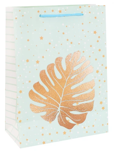 Dream cards Пакет подарочный с мат.лам. и тисн. фольгой 18х24х8,5см (M) Золотой Dream cards Пакет подарочный с мат.лам. и тисн. фольгой 18х24х8,5см (M) Золотой