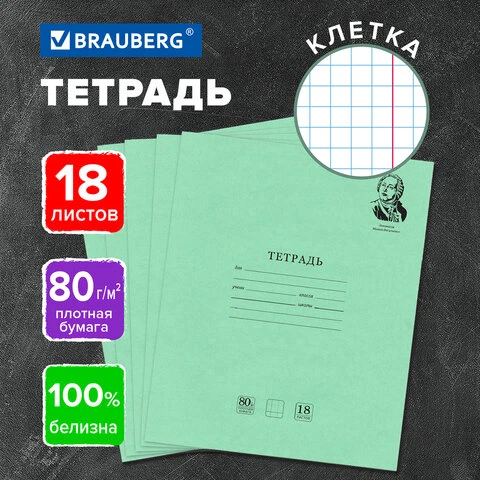 Тетрадь BRAUBERG ВЕЛИКИЕ ИМЕНА 18л. клетка, плотная бумага 80г/м2, обложка