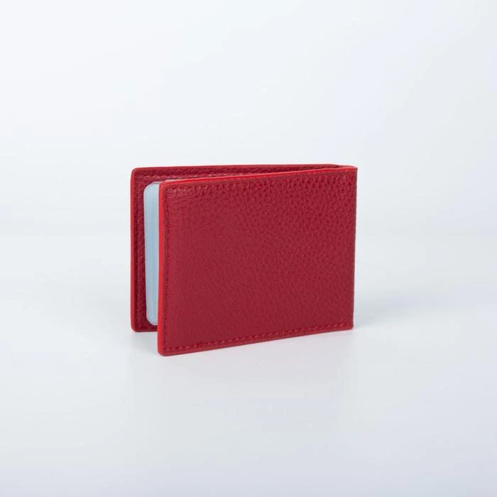 Визитница, 22 листа, цвет красный