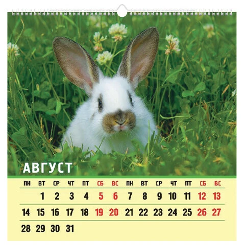 Календарь на гребне с ригелем, 2023 г., 45х45 см, КАРЕ, "Бархатные