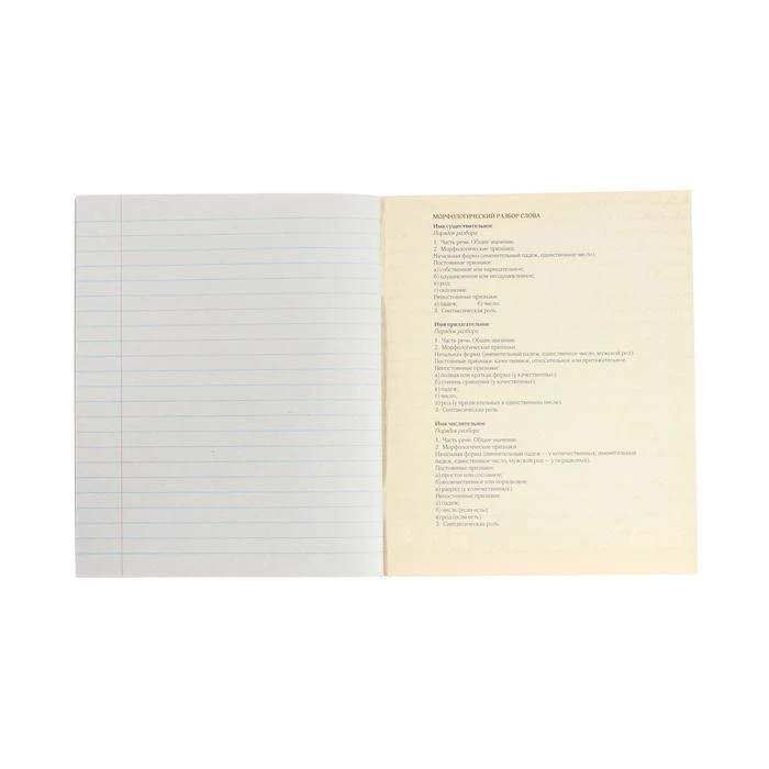 Тетрадь предметная 3D, 48 листов в линейку "Русский язык", обложка