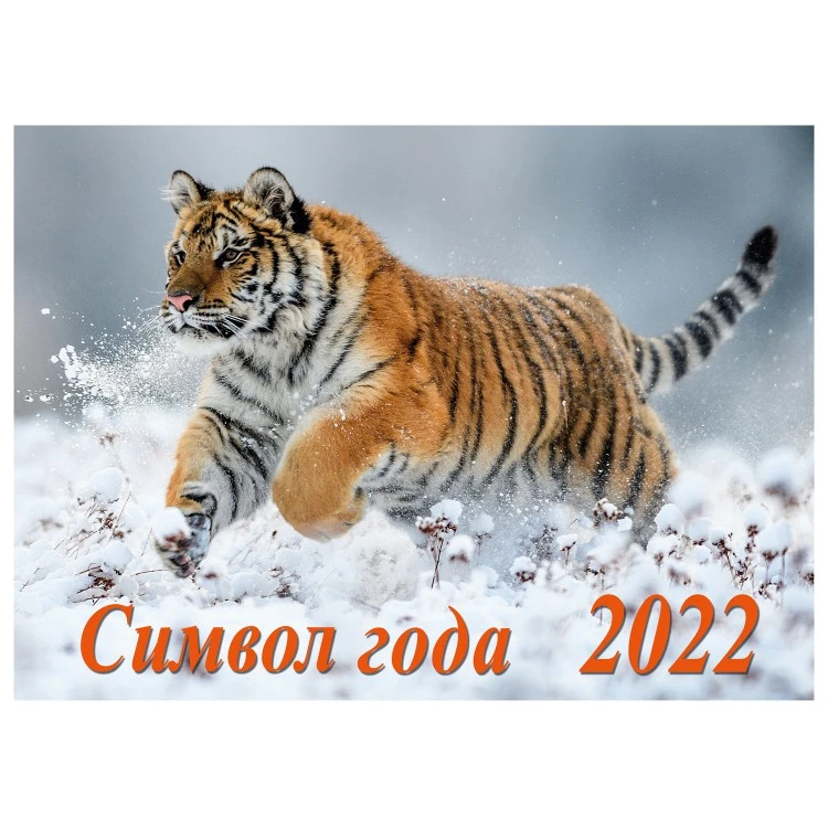 Календарь настенный перекидной "Символ года 2. Маркет" на 2022 год