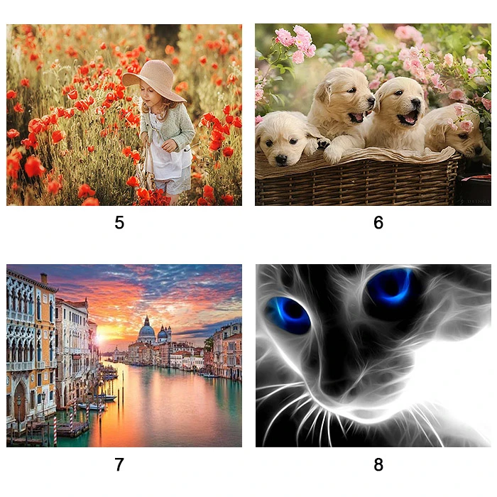 Алмазная живопись 40*50см "Darvish" Алмазная живопись 40*50см "Darvish"