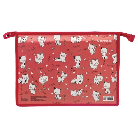 Папка для труда BRAUBERG, А4, 1 отделение, молния сверху, органайзер,