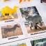 Настольная игра "Animals match" (Подбери животное)