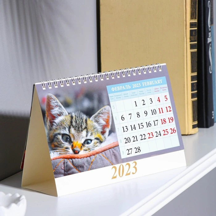 Календарь настольный, домик "Котята" 2023 год, 20х14см