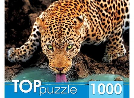 TOPpuzzle. ПАЗЛЫ 1000 элементов. ГИТП1000-2146 Красивый леопард