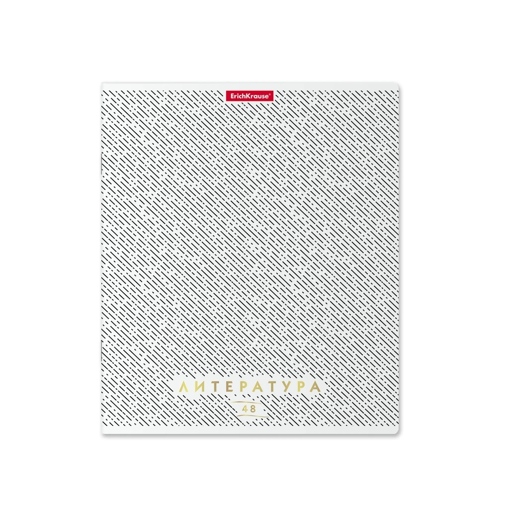 Тетрадь общая ученическая Erich Krause Ассоциации, Литература, 48 листов,