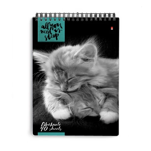 БЛОКНОТ ГР. Ф.А5 40 Л. "КОШКИ" 5 ВИДОВ БЛОКНОТ ГР. Ф.А5 40 Л. "КОШКИ" 5 ВИДОВ