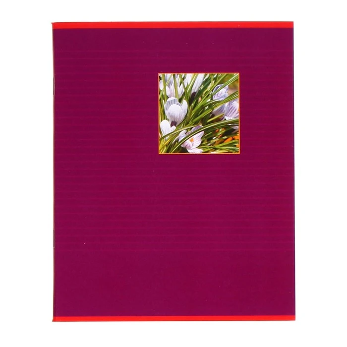 Тетрадь 48 листов в клетку "Элементы природы", обложка хром-эрзац,