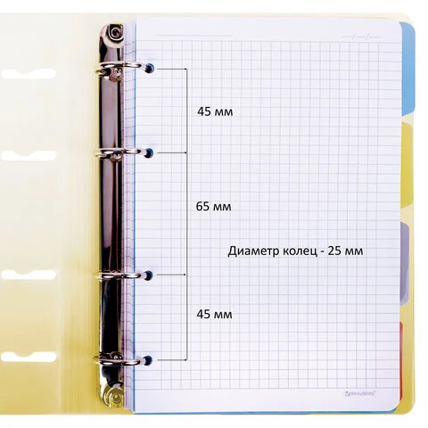 Тетрадь на кольцах А5 175х220мм, 120л, пластик, с разделителями, BRAUBERG,