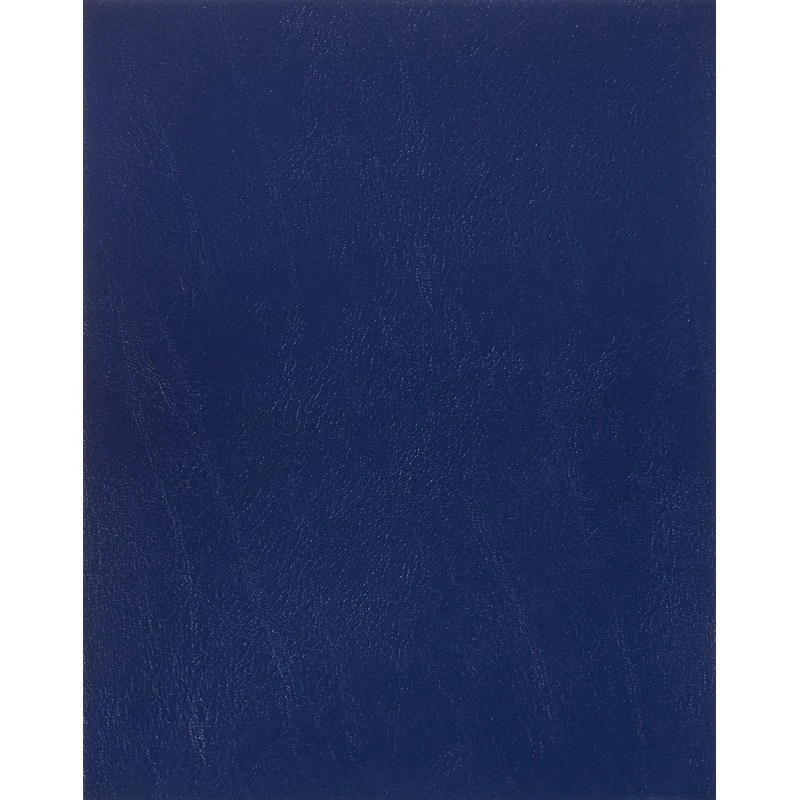 Тетрадь общая А5,48л,клет,скреп,обл.бумвинил,блок офсет-2 Синяя 047613