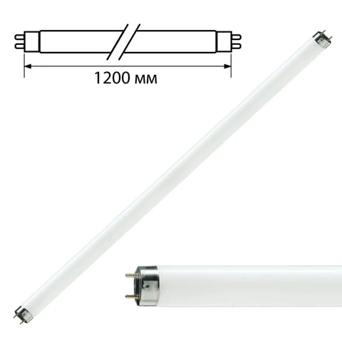 Лампа люминесцентная PHILIPS TL-D 36W/33-640, 36 Вт, цоколь G13, в виде трубки