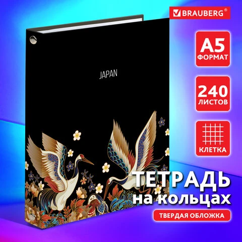 Тетрадь на кольцах А5 (175х215 мм), 240 л., обложка твердый картон, клетка,