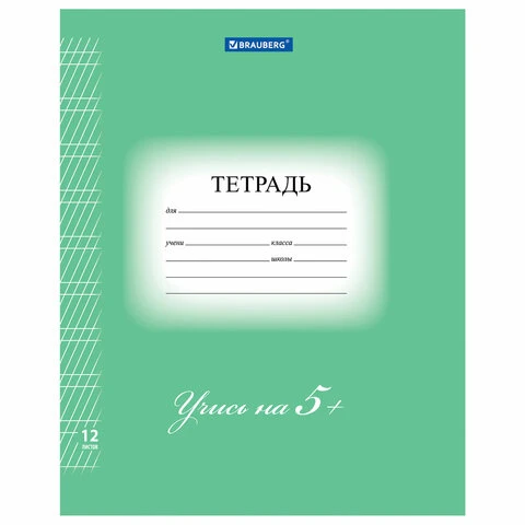 Тетрадь 12 л. BRAUBERG ЭКО "5-КА", частая косая линия, обложка плотная