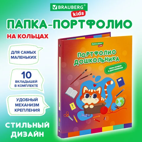 Папка-портфолио дошкольника "КОШЕЧКА", 4 кольца, 20 файлов, 10