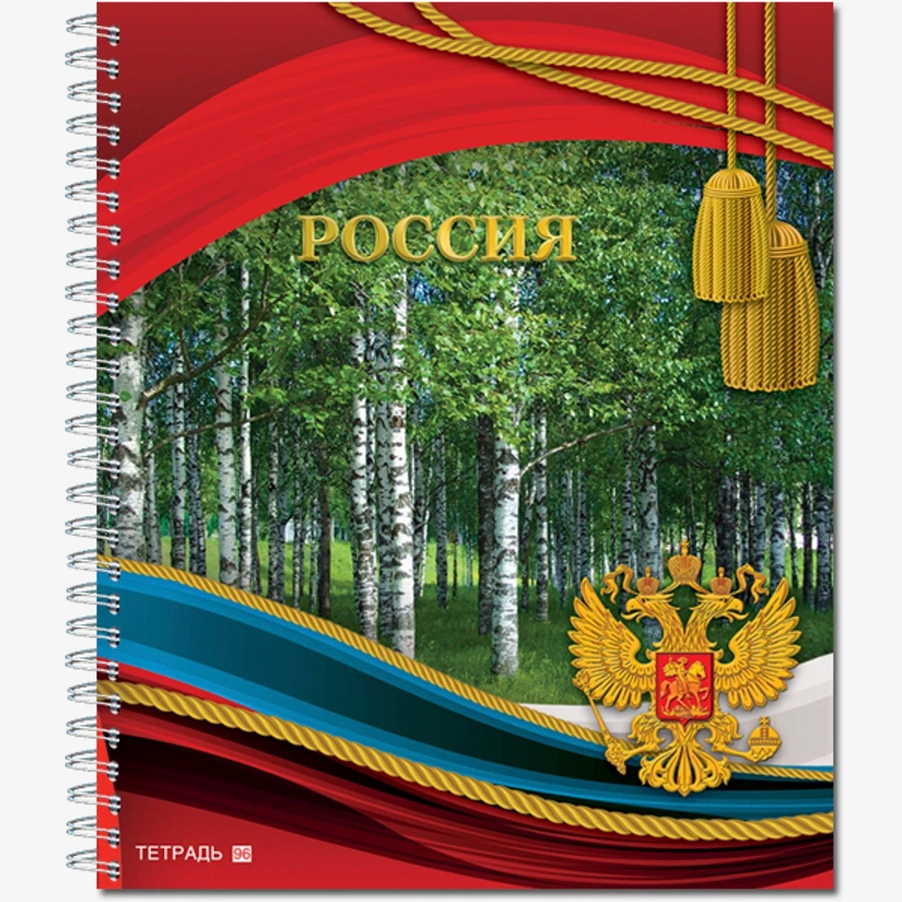 Тетрадь общая 48 листов "Россия 2", обложка - мелов.картон +