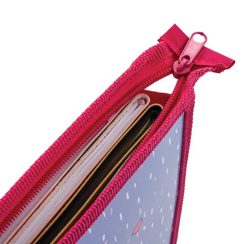 Папка для тетрадей ПИФАГОР А4, 1 отделение, картон/пластик, молния сверху, Папка для тетрадей ПИФАГОР А4, 1 отделение, картон/пластик, молния сверху,